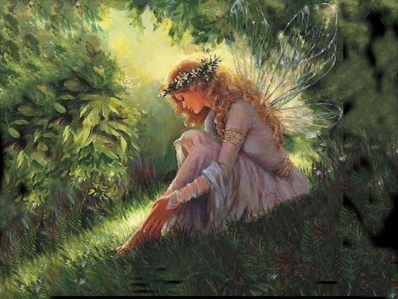 Fairy Sitting in Forest