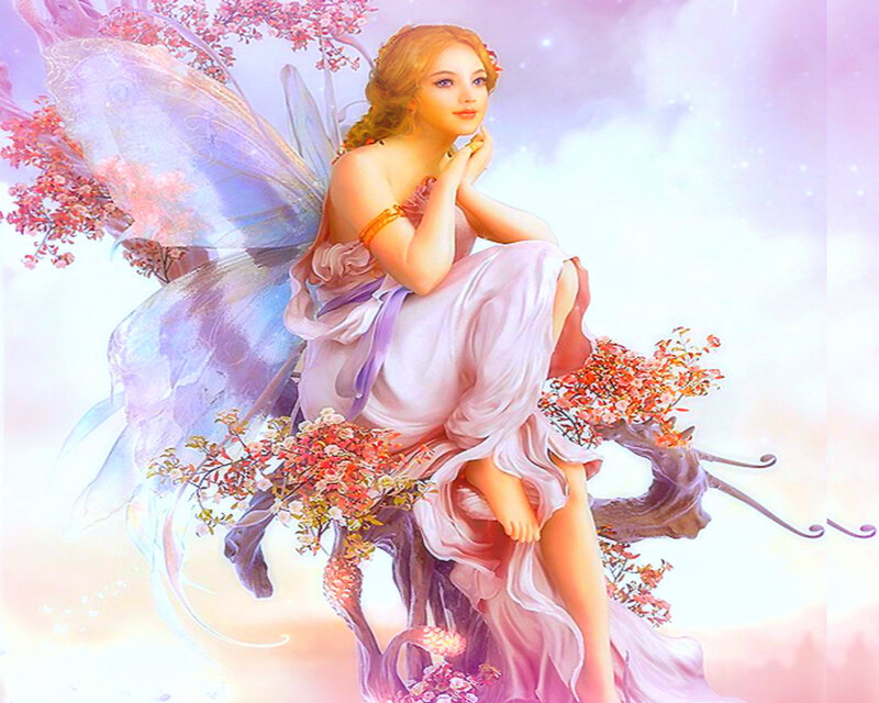 Fairy Sitting on Branch — Pink, Serene
