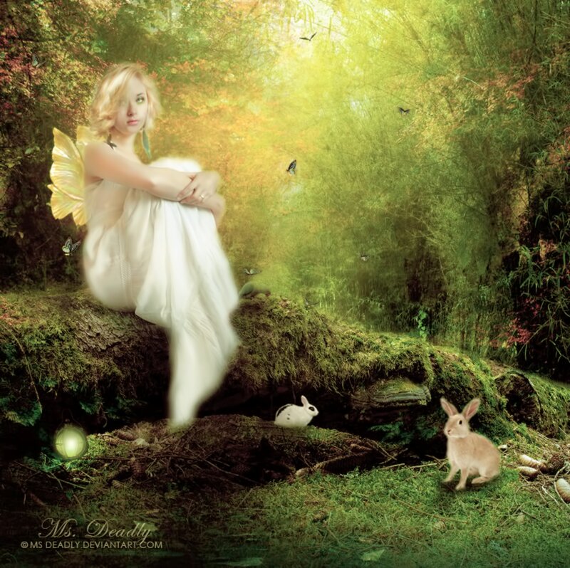 Fairy Sitting on Log — Green, Serene, Afternoon