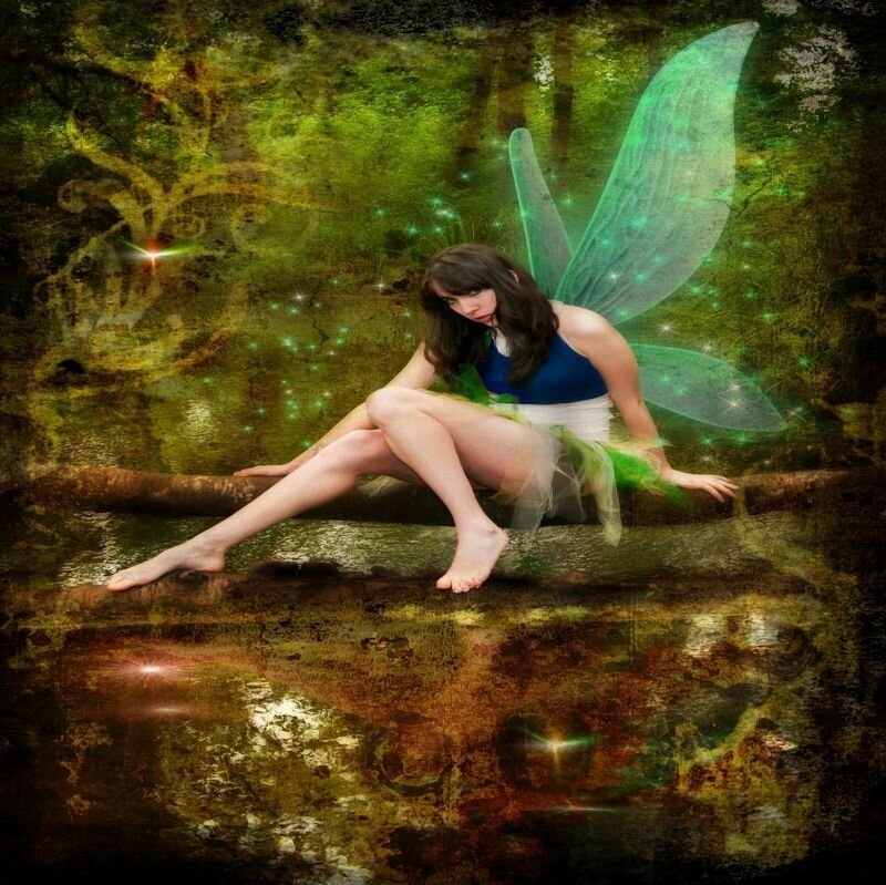 Fairy Sitting on Log
