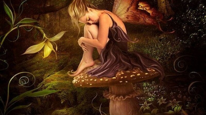 Fairy Sitting on Mushroom — Brown, Serene