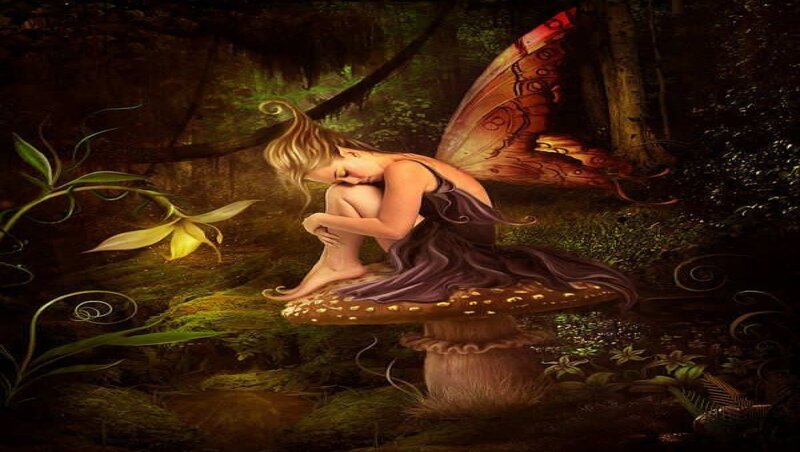 Fairy Sitting on Mushroom — Green, Serene, Night