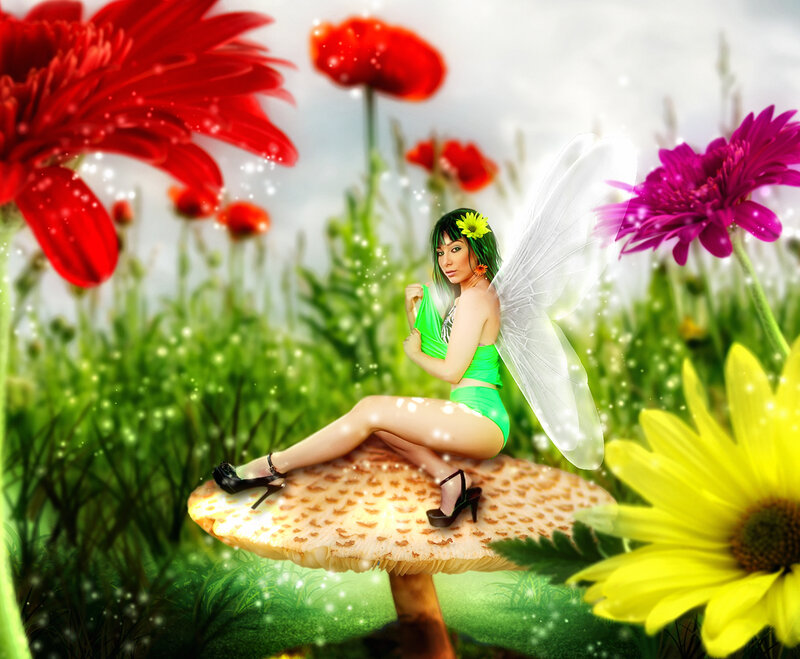 Fairy Sitting on Mushroom — Green, Whimsical