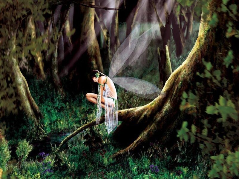 Fairy Sitting on Tree Branch — Green, Serene