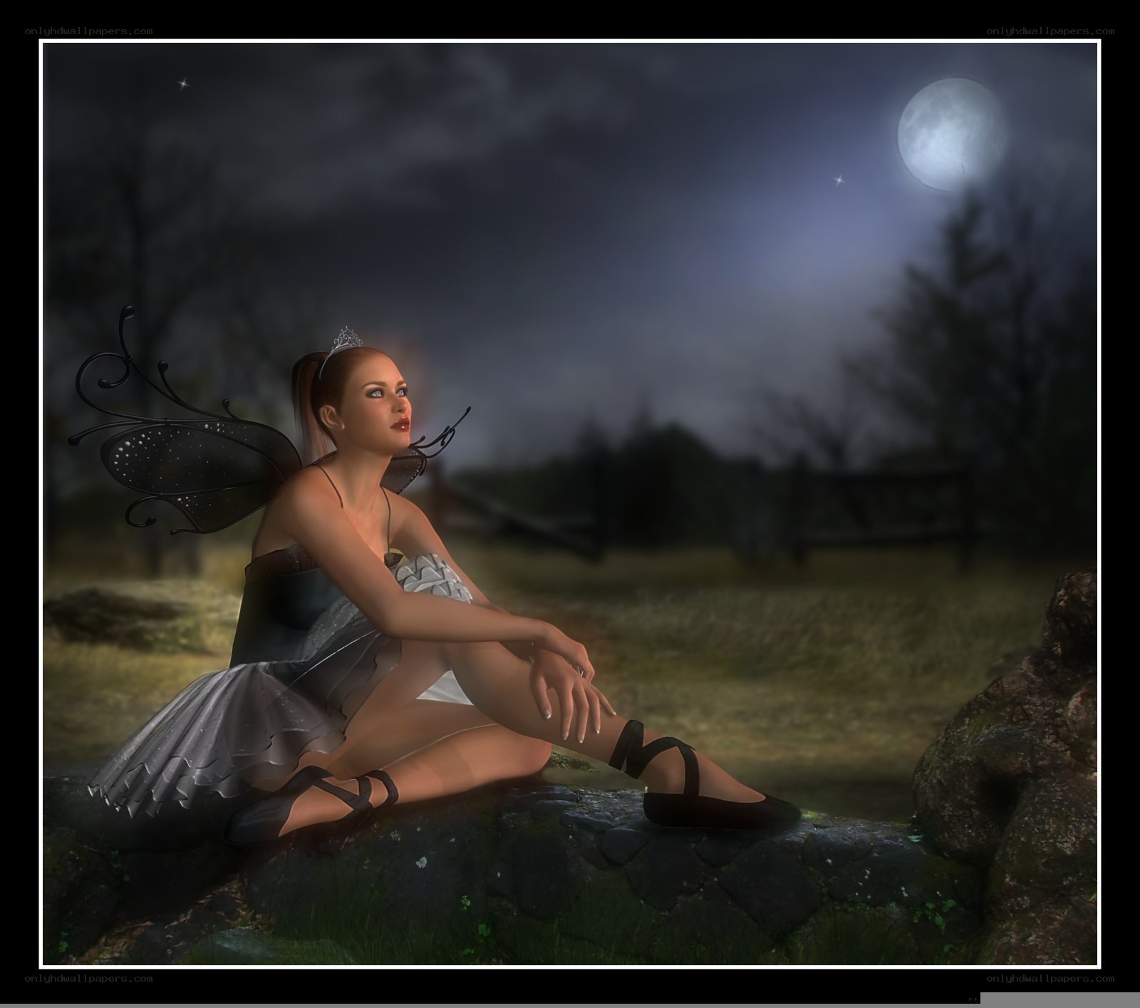 Fairy sitting under the moon