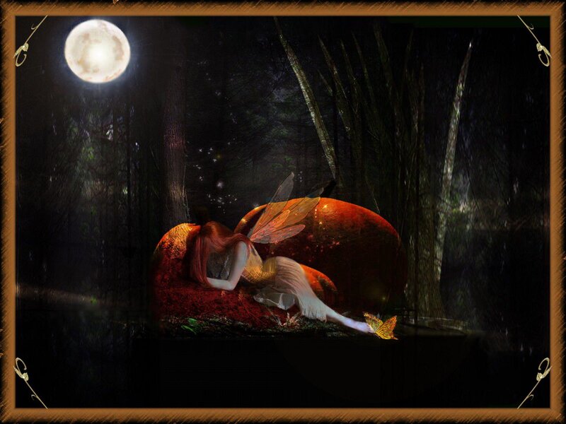 Fairy Sleeping in Forest — Black