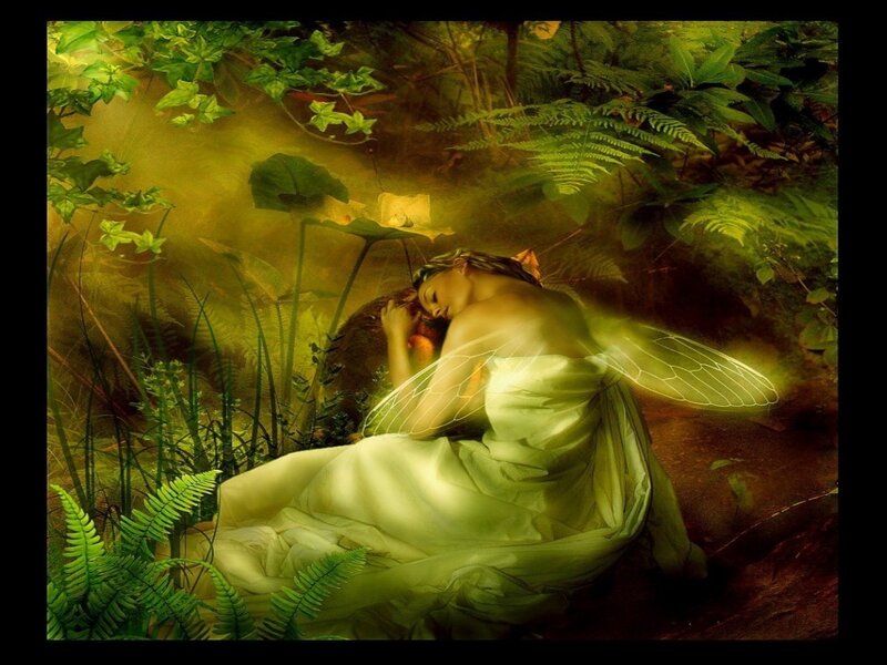 Fairy Sleeping in Forest — Green