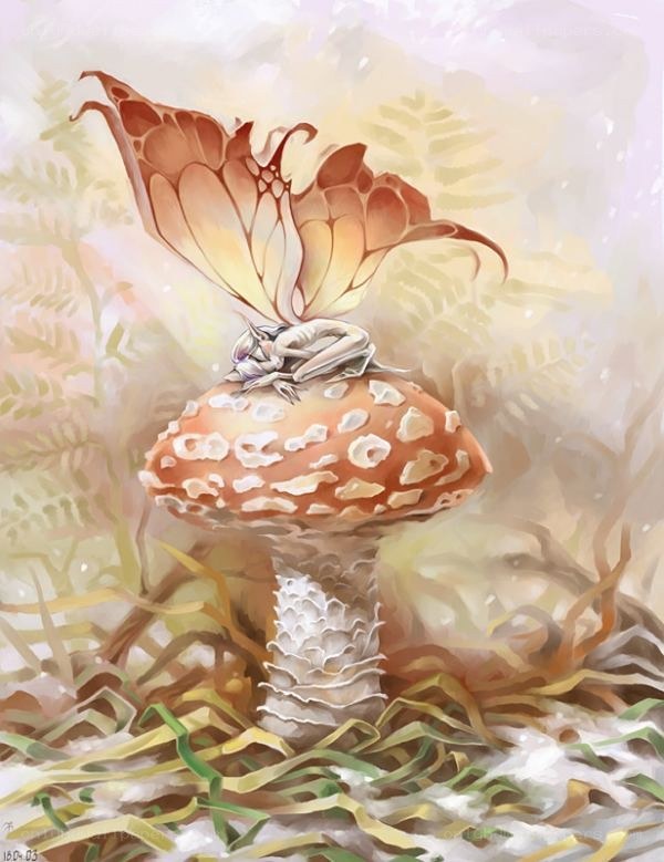 Fairy sleeping on a mushroom