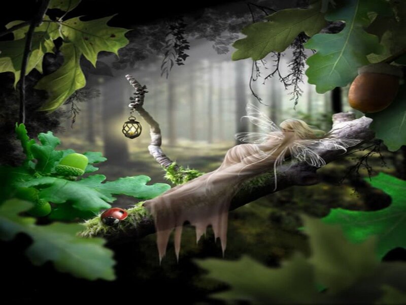 Fairy Sleeping on Branch — Green