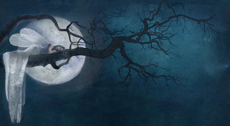 Fairy Sleeping on Branch