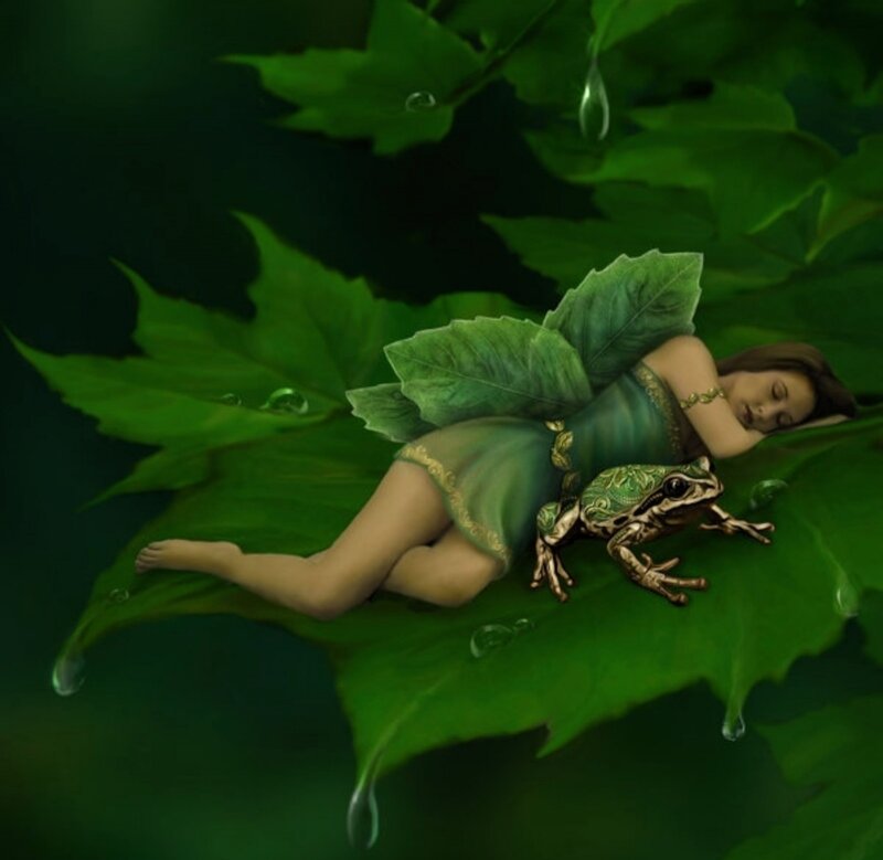 Fairy Sleeping on Leaf