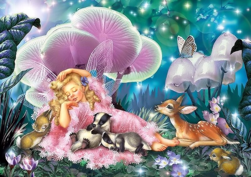 Fairy Sleeping with Animals — Pink