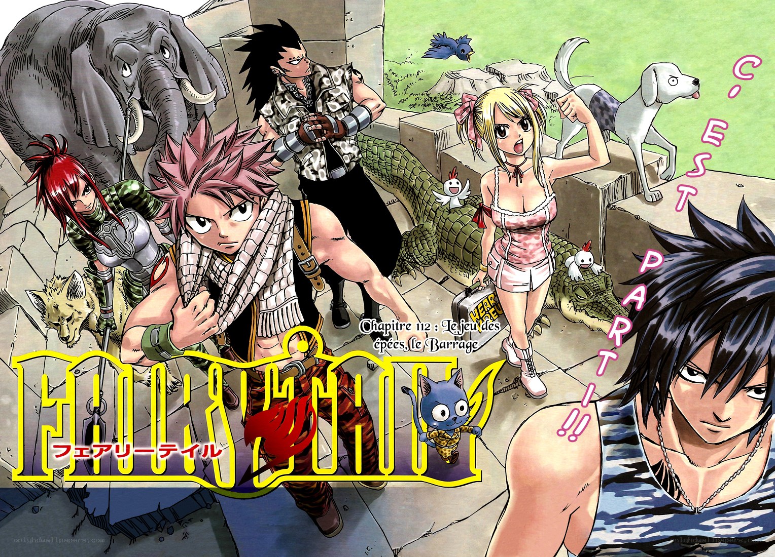 Fairy Tail chapter cover
