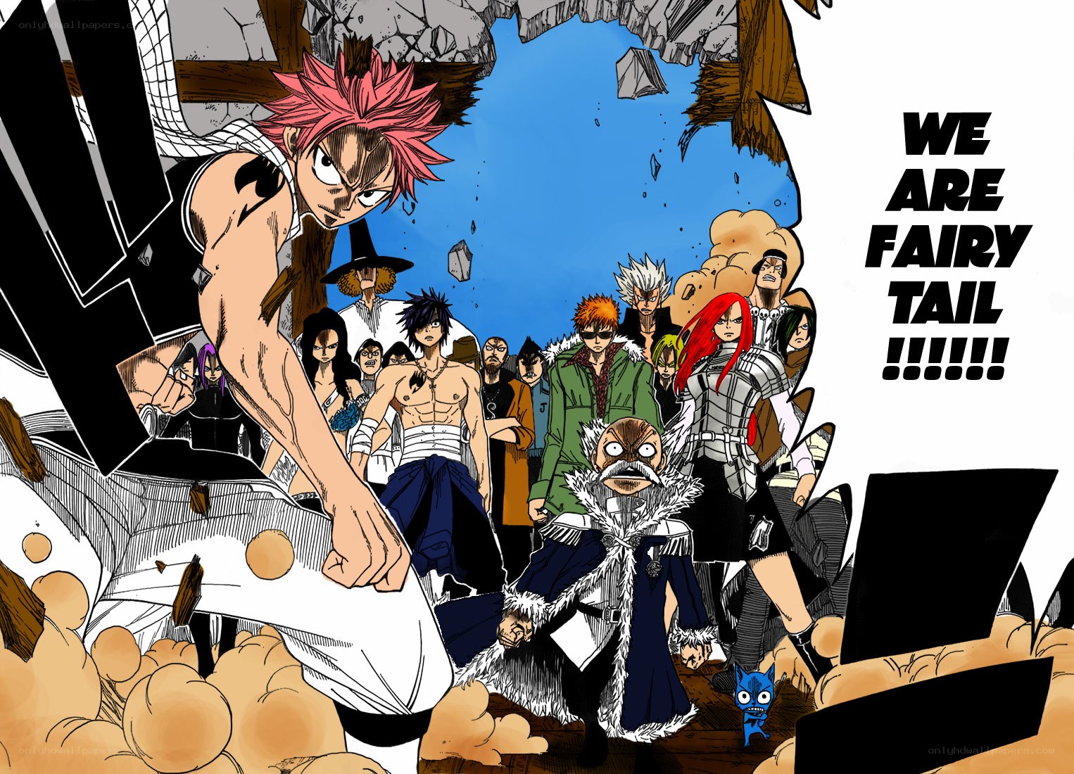 Fairy Tail group portrait