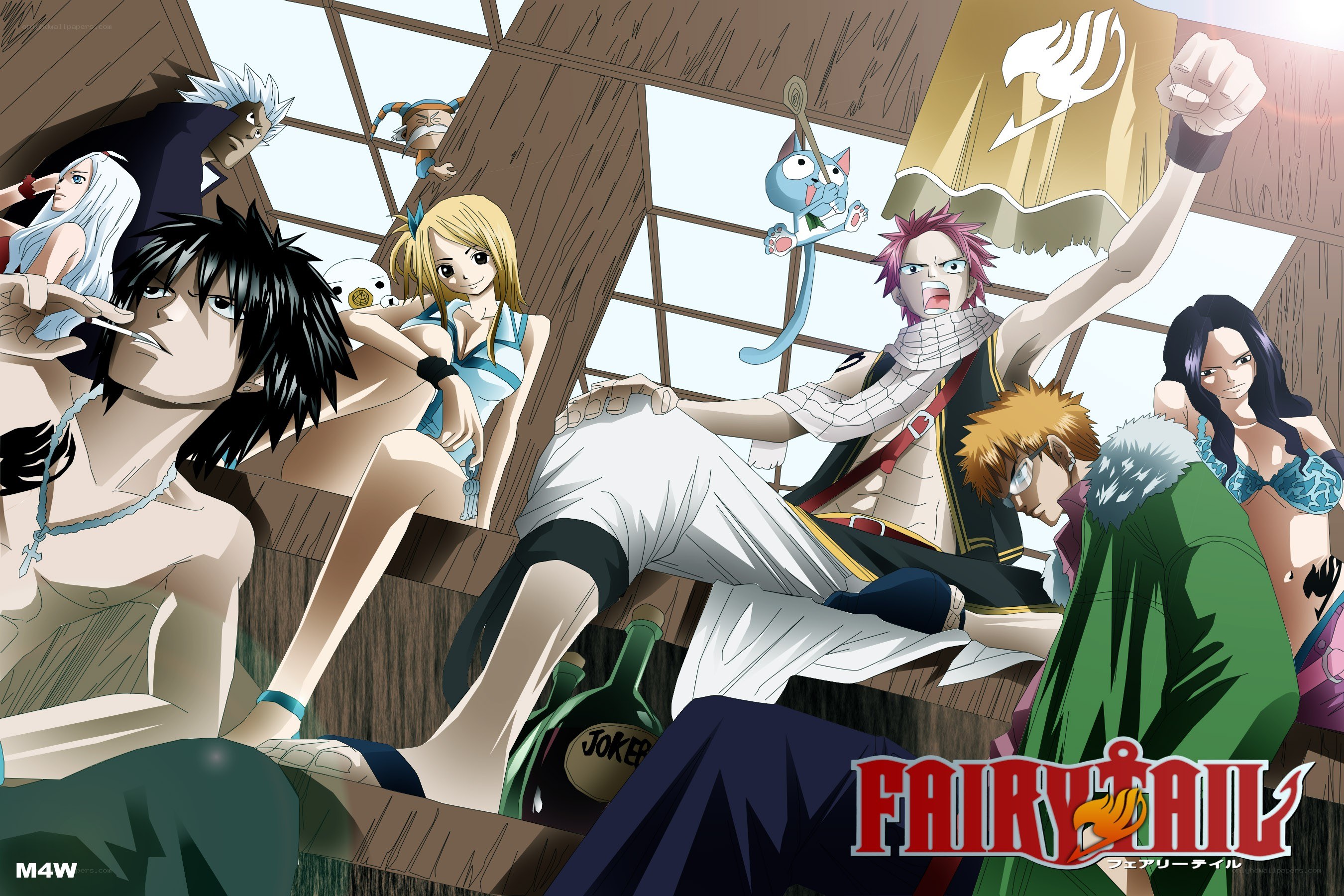 Fairy Tail guild members