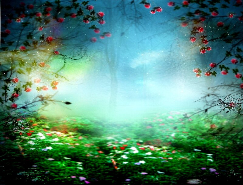 Fairy-tale Forest Clearing
