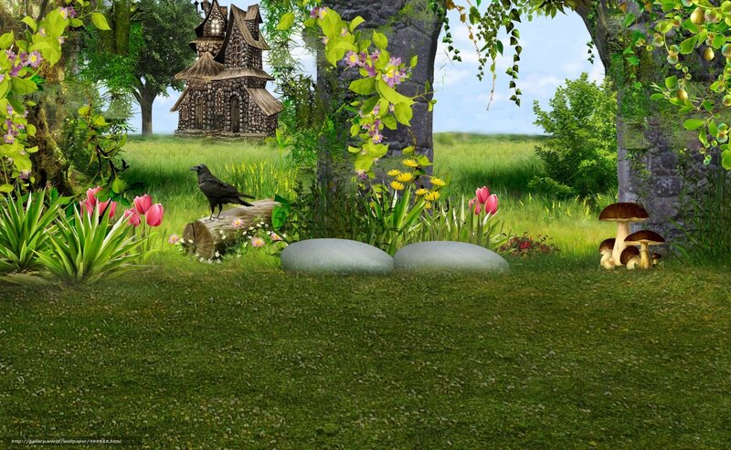 Fairy tale forest scene