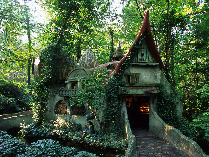 Fairy-tale House in Forest