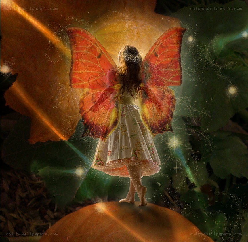 fairy with autumn wings