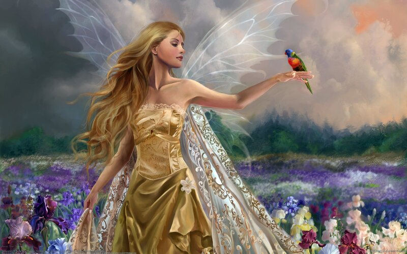 Fairy with Bird — Gold, Serene, Sunset, Digital Art