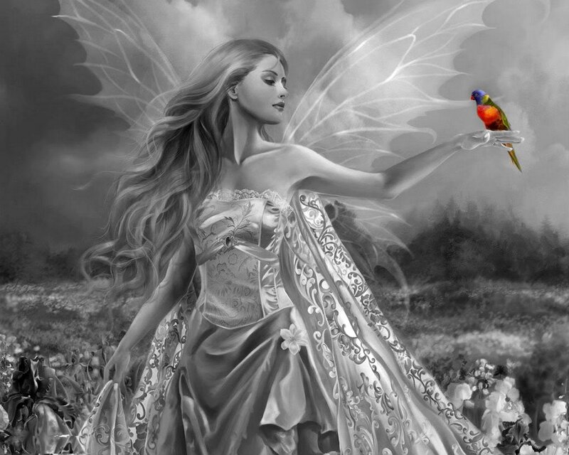 Fairy with Bird — Gray, Serene