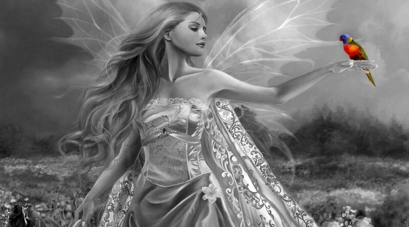 Fairy with Bird — Gray