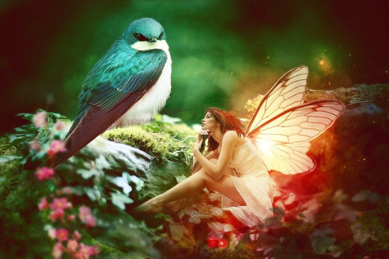 Fairy with Bird — Green, Serene, Digital Art