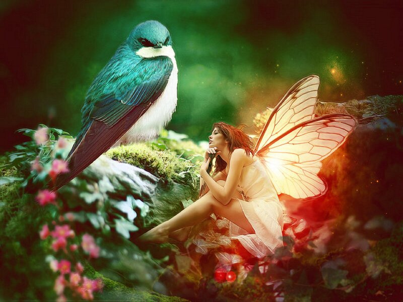 Fairy with Bird — Green, Serene, Digital Art, Wings