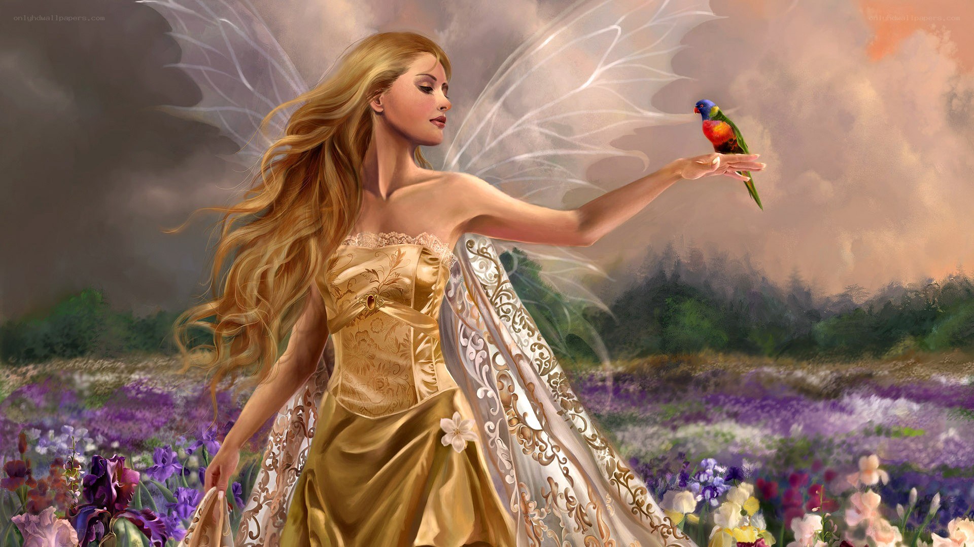fairy with bird in field