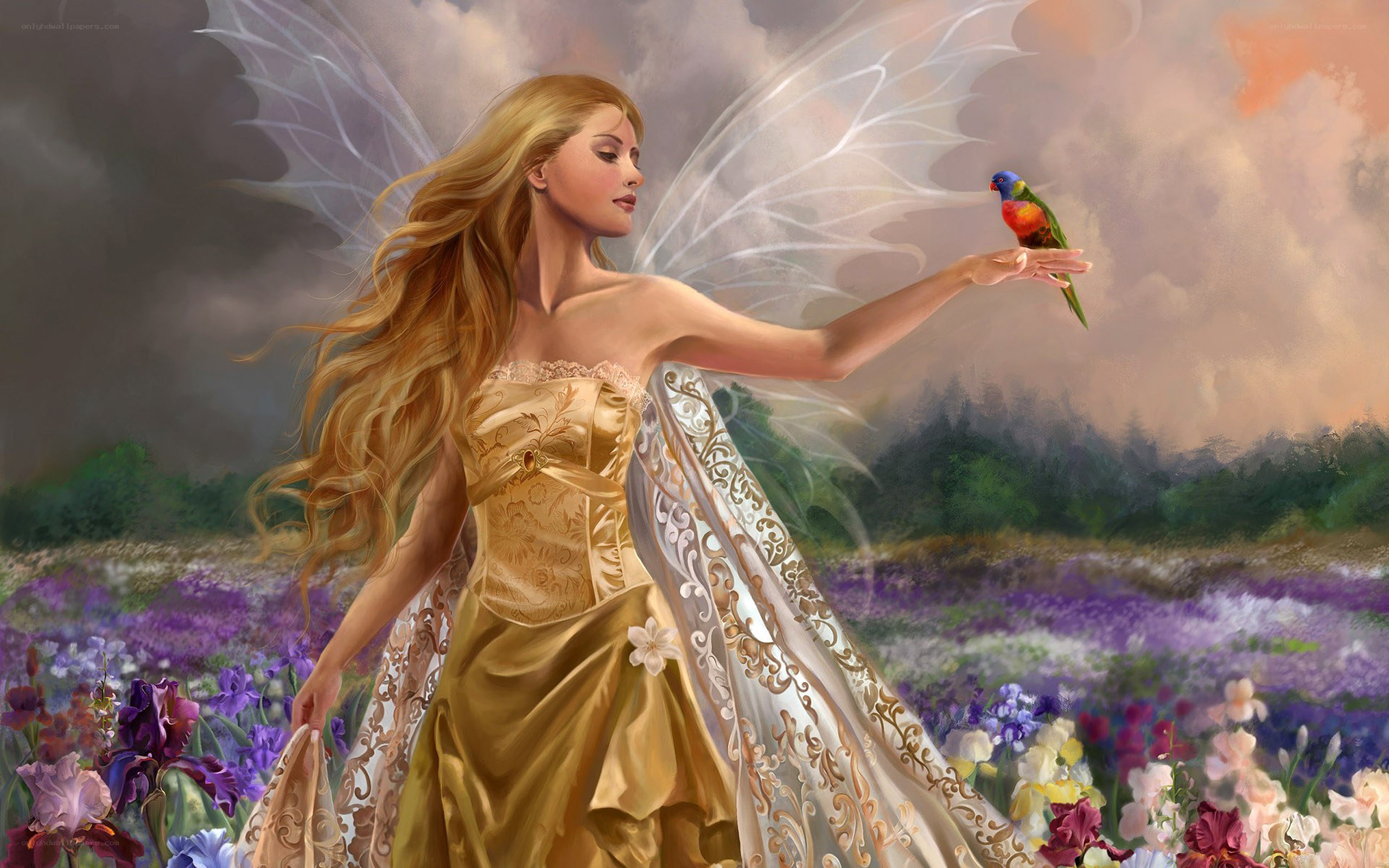 fairy with bird in field