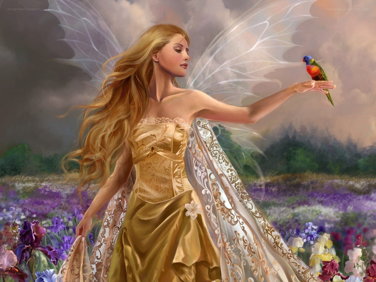 fairy with bird in field