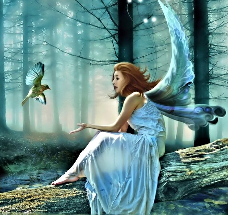 Fairy with Bird in Forest — Blue, Serene