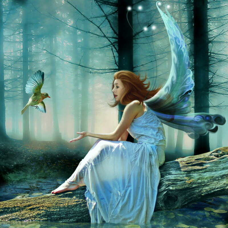 Fairy with Bird in Forest — Blue