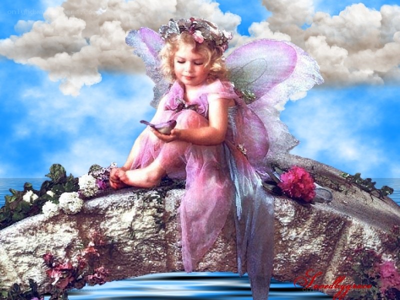 fairy with bird on rock