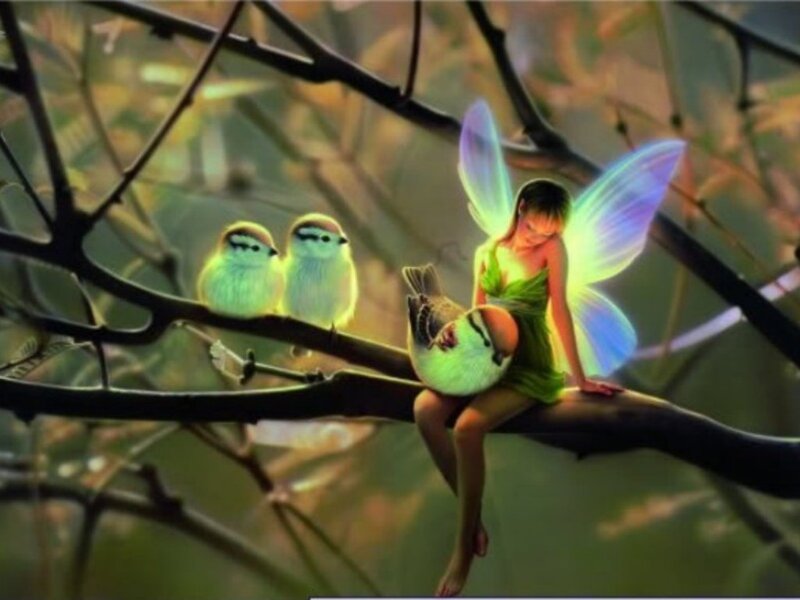 Fairy with Birds on Branch — Green