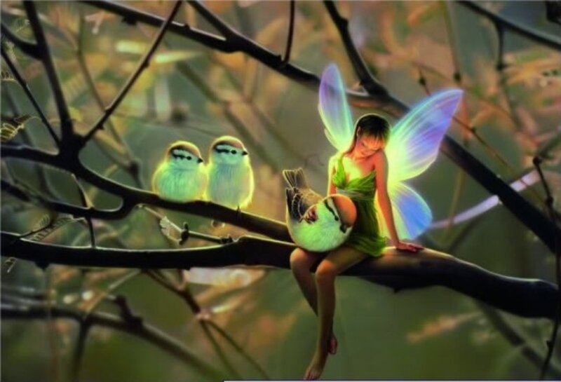 Fairy with Birds on Branch
