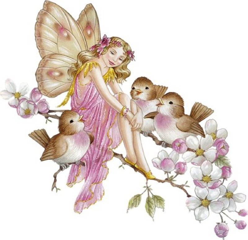 Fairy with Birds — Pink