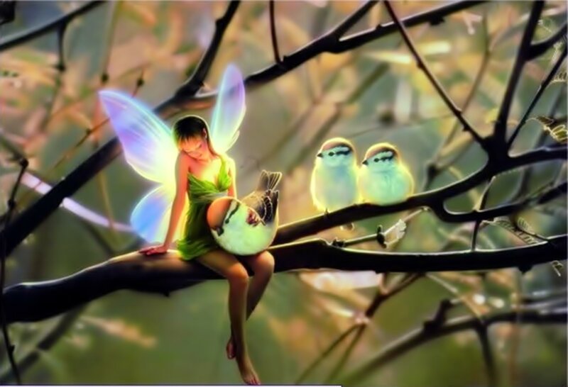 Fairy with Birds