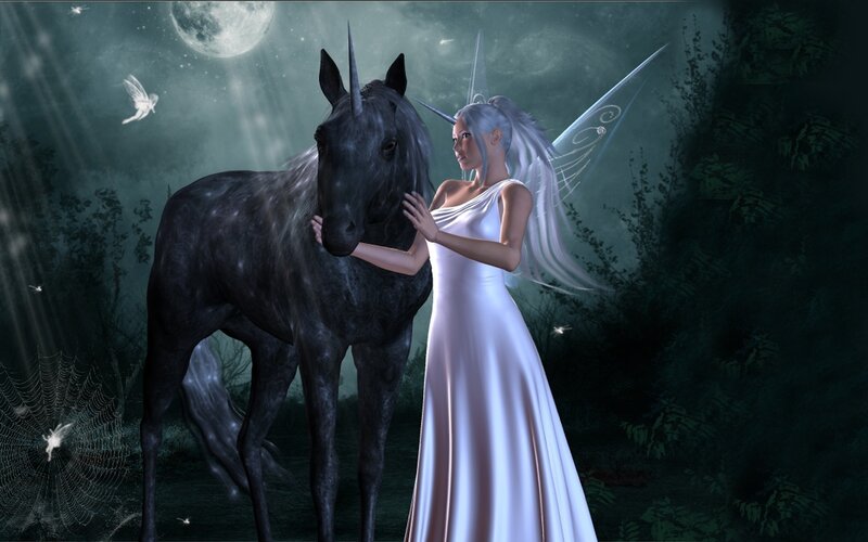 fairy with black unicorn