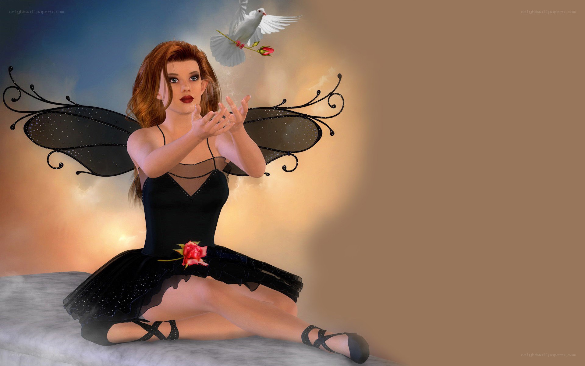 fairy with black wings