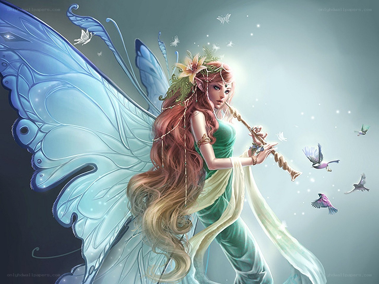 fairy with blue wings