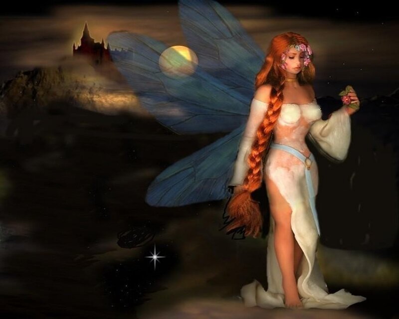 fairy with blue wings