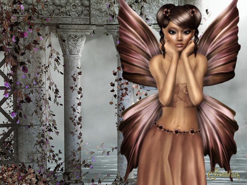 Fairy with Brown Wings — Serene