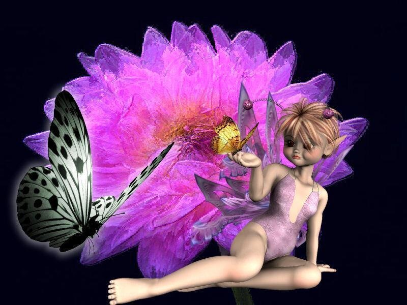 fairy with butterflies on flower