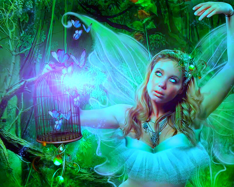 Fairy with Butterfly Cage