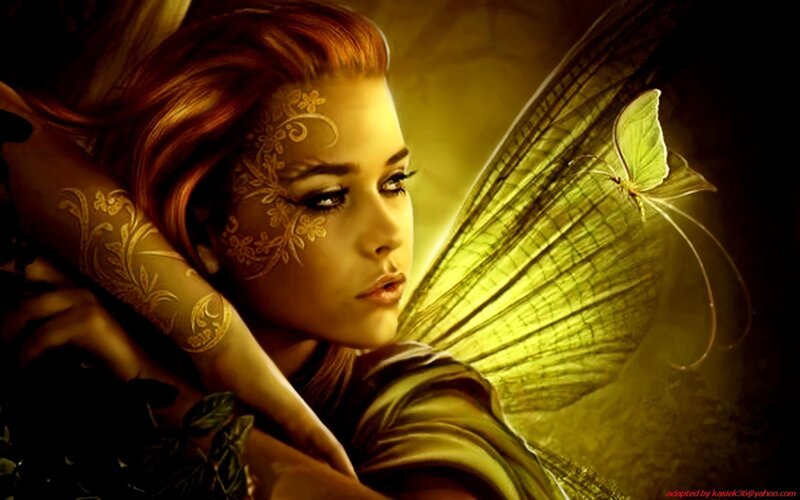 fairy with butterfly