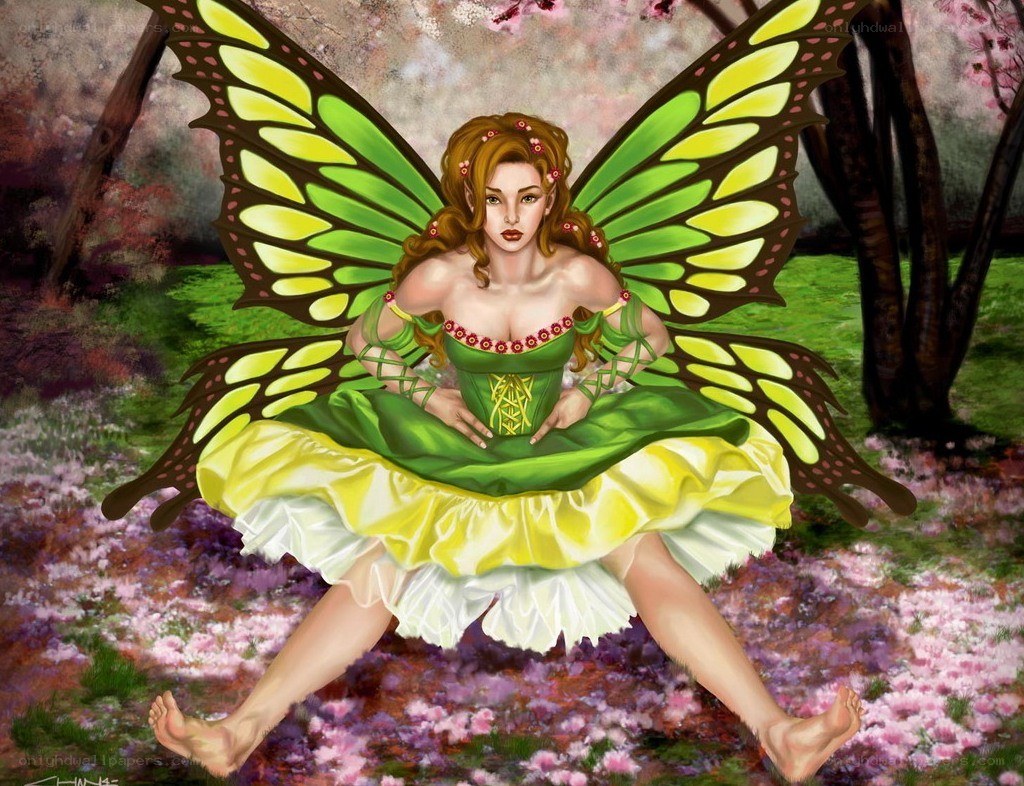 fairy with butterfly wings