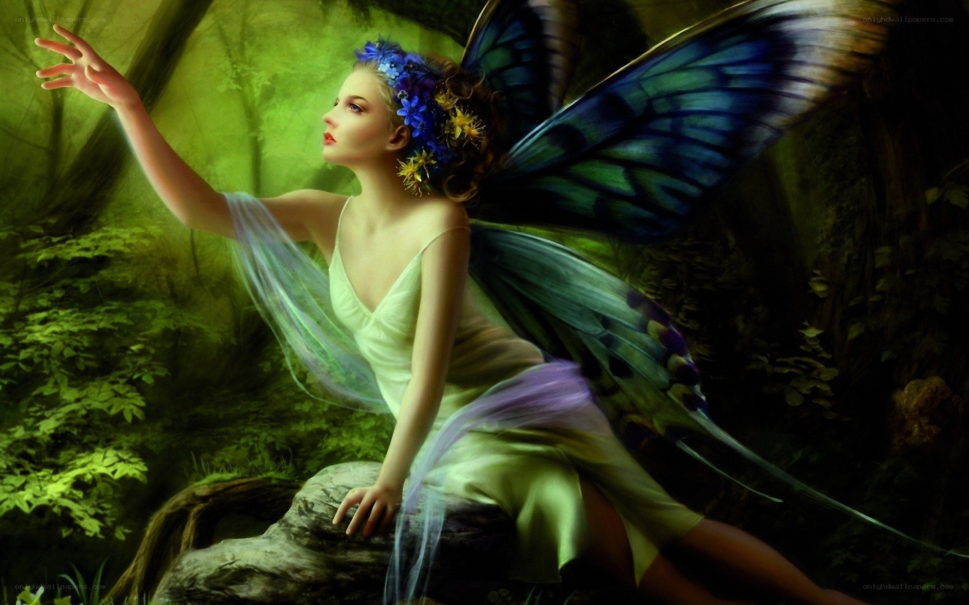 fairy with butterfly wings