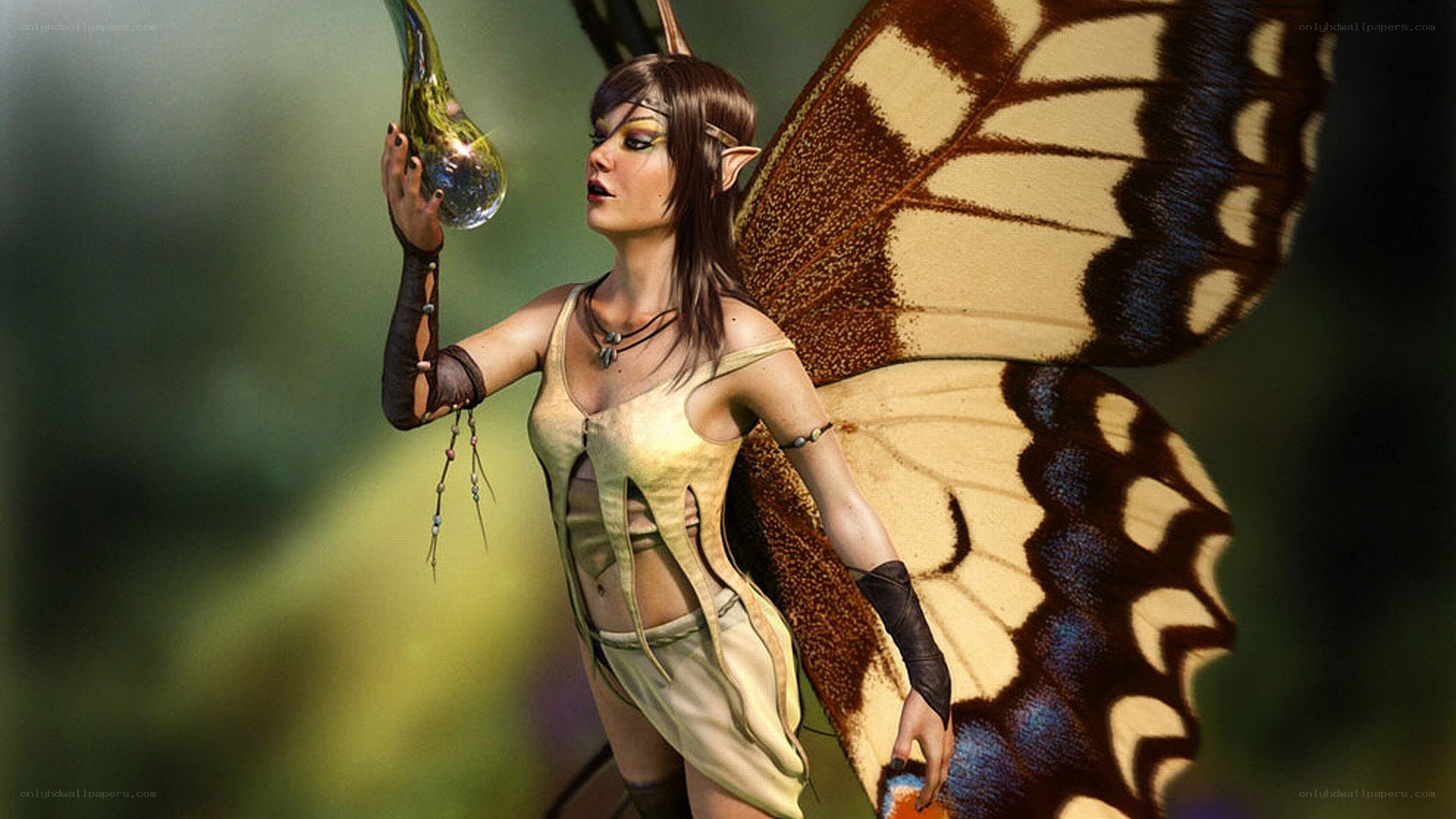 fairy with butterfly wings