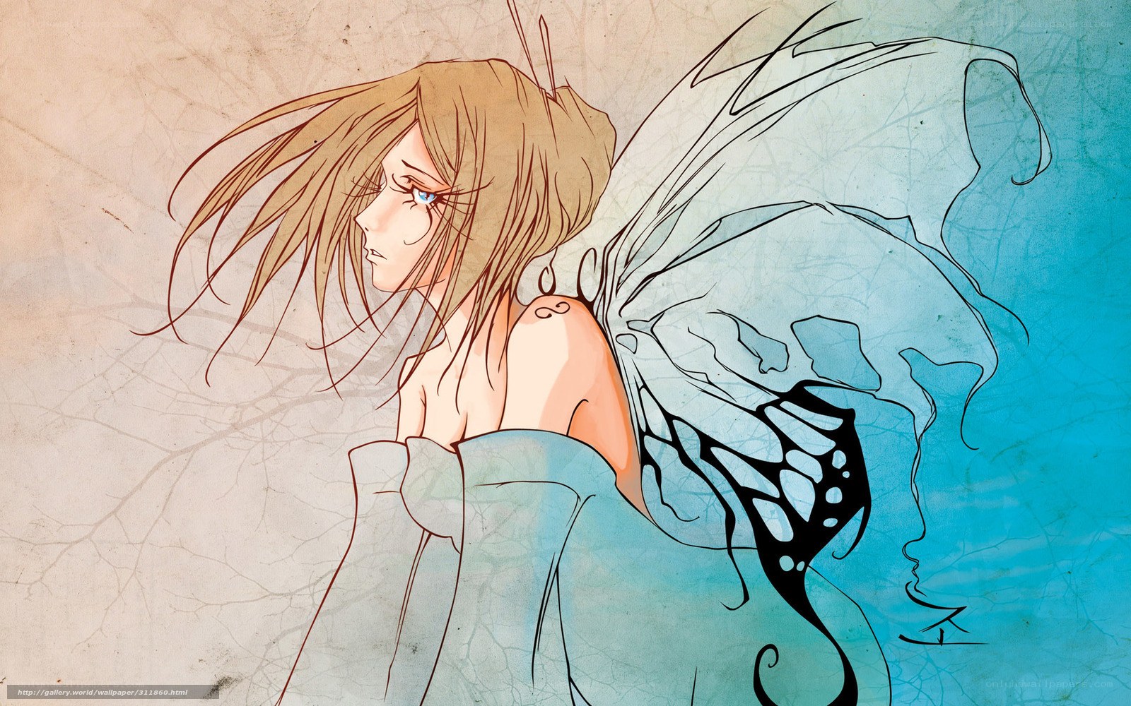 fairy with butterfly wings